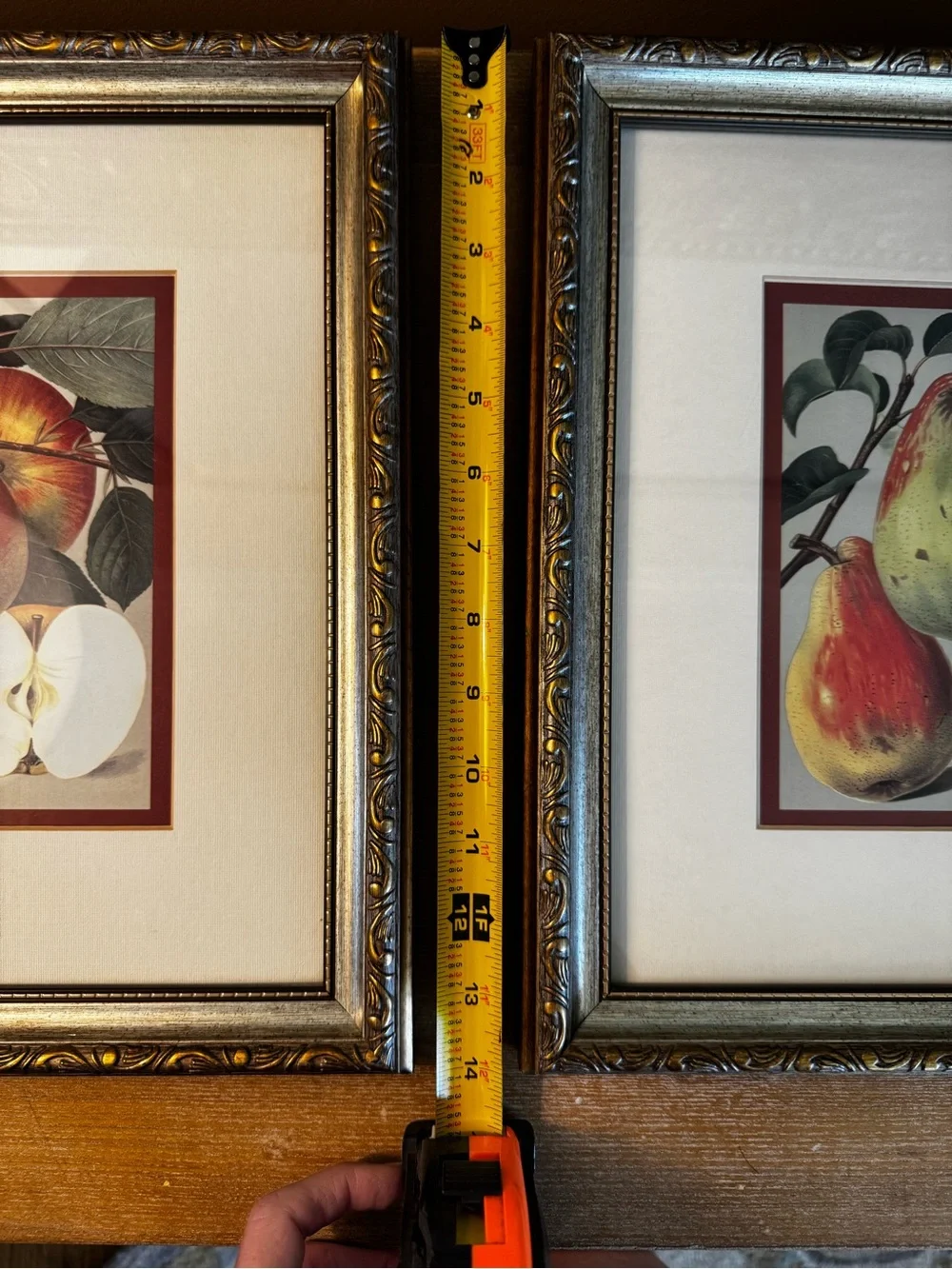 Set of 2 Framed Fruit Botanical Prints - Red, Green, Cream